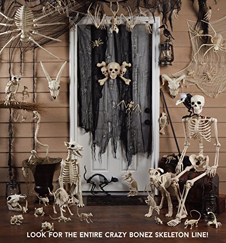 Crazy Bonez Bare Bones set