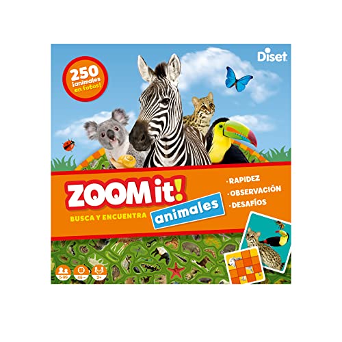 Diset Zoom It Juego Educativo para niños a Partir de 5 años, Multicolor, 63799