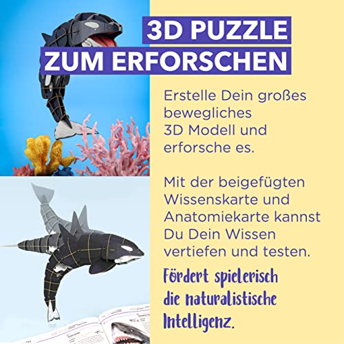 Eco 3D Puzzle-Orca