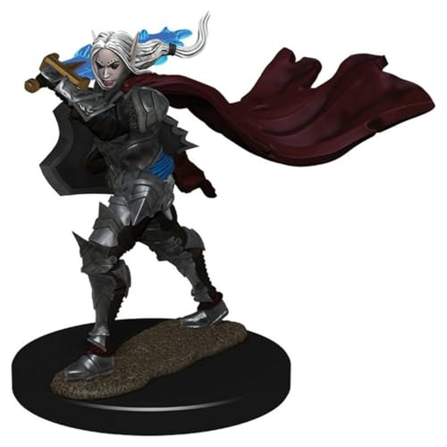 Elf Paladin Female (paquete de 6): Pathfinder Battles Figura pintada de primera calidad (W2)