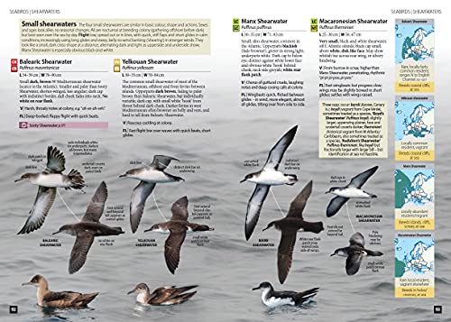 Europe's Birds: An Identification Guide (WILDGuides of Britain & Europe, 37)