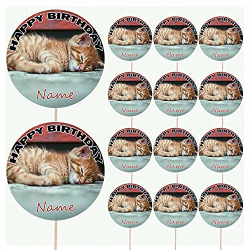 Gatito personalizado para alimentos y tartas decoraciones de cumpleaños – (Pack de 14)