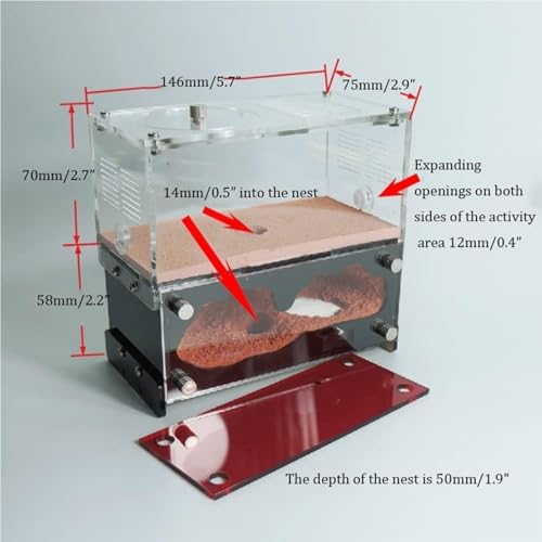 Granja de hormigas Castillo de hormigas, taller acrílico transparente, terrario de hormigas, casa de granja, Kit de aprendizaje educativo científico for niños Ciencia y Educación ( Color : Activity Ar