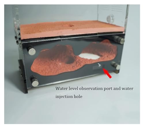 Granja de hormigas Castillo de hormigas, taller acrílico transparente, terrario de hormigas, casa de granja, Kit de aprendizaje educativo científico for niños Ciencia y Educación ( Color : Activity Ar