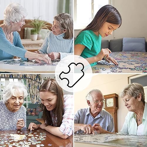 GUOHLOZ Puzzle 500 Piezas Adultos,Ciudad romantica Puzzles para Adultos,Rompecabezas Juego de Rompecabezas y Juego Familiar, Río De La Plata, 52x38cm