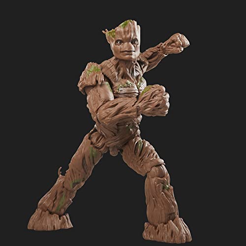 Hasbro - Marvel Legends Series - Groot - Figura de Guardianes de la Galaxia Vol. 3 de 15 cm