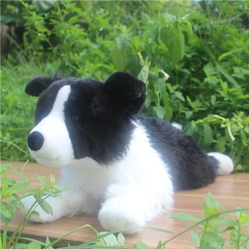 JOEBO Simulación de Cachorro de Peluche de Juguete, Animal Border Collie, muñeco de Peluche Suave y Bonito, Regalo de compañía, decoración del hogar