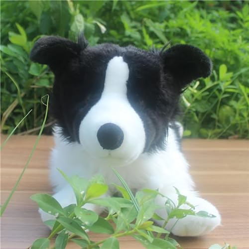 JOEBO Simulación de Cachorro de Peluche de Juguete, Animal Border Collie, muñeco de Peluche Suave y Bonito, Regalo de compañía, decoración del hogar