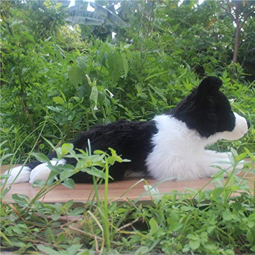 JOEBO Simulación de Cachorro de Peluche de Juguete, Animal Border Collie, muñeco de Peluche Suave y Bonito, Regalo de compañía, decoración del hogar