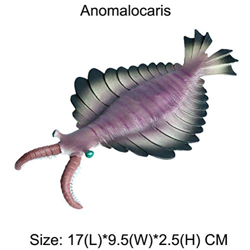 JOKFEICE Figuras de Animales 5 pcs Realista Plástico Organismo Antiguo cámbrico Incluye Anomalocaris, Opabinia etc. Proyecto de Ciencia, Regalo de cumpleaños, Decoración de Pastel para niños