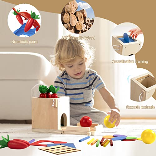 Juguete Montessori de Madera para Niños Pequeños 1 Año, Caja de Permanencia de Objetos, Caja de Monedas, Cosecha de Zanahorias, Juguete de Clasificación Aprendizaje Juego de Bolas Colores