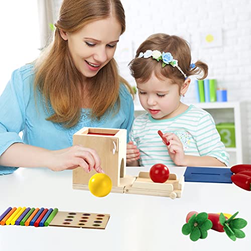 Juguete Montessori de Madera para Niños Pequeños 1 Año, Caja de Permanencia de Objetos, Caja de Monedas, Cosecha de Zanahorias, Juguete de Clasificación Aprendizaje Juego de Bolas Colores