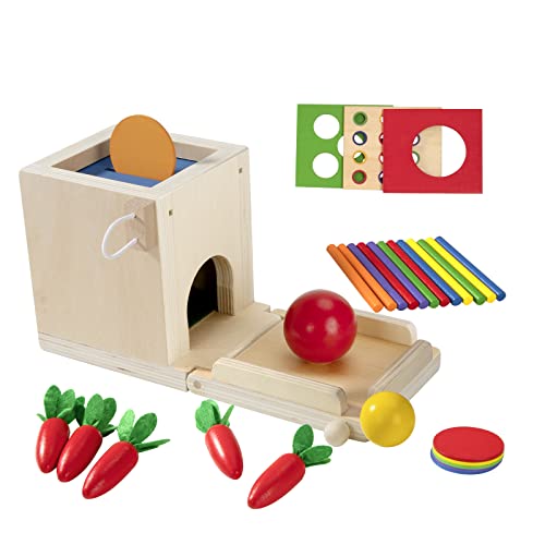 Juguete Montessori de Madera para Niños Pequeños 1 Año, Caja de Permanencia de Objetos, Caja de Monedas, Cosecha de Zanahorias, Juguete de Clasificación Aprendizaje Juego de Bolas Colores