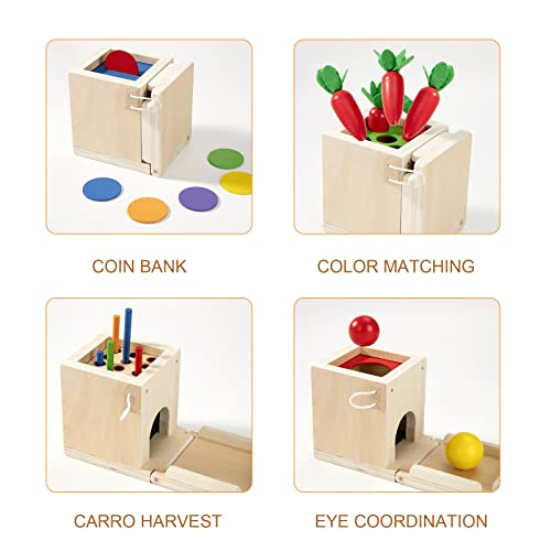 Juguete Montessori de Madera para Niños Pequeños 1 Año, Caja de Permanencia de Objetos, Caja de Monedas, Cosecha de Zanahorias, Juguete de Clasificación Aprendizaje Juego de Bolas Colores