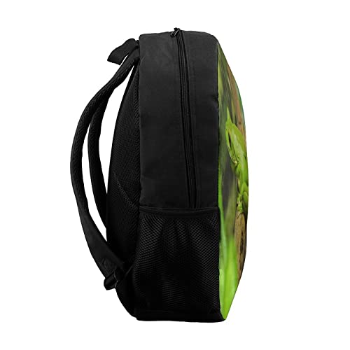 LAerper Mochila de rana animal de 17 pulgadas con labios blancos TreeFrog Mochila escolar impresa en 3D Ultra cómoda y estable, mochila unisex para niños