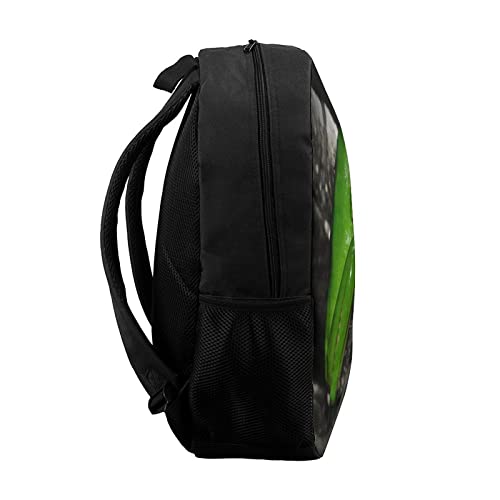 LAerper Mochila escolar de rana animal de 17 pulgadas con labios blancos TreeFrog Mochila escolar impresa en 3D con compartimento para computadora portátil, unisex