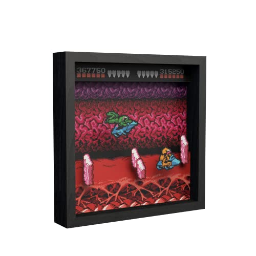 Level Up Labs Pixel Frames: Battletoads NES Turbo Tunnel Caja de sombra 3D Decoración enmarcada para pared, hogar, exhibición de estantes, póster de juego, colección de arte para niños, niñas,