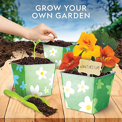 NATIONAL GEOGRAPHIC Kit de cultivo de flores para niños, decoración de 3 macetas con pintura y pegatinas, juego de jardinería para niños, artes y manualidades para niños de 8 a 12 años, kit de jardín