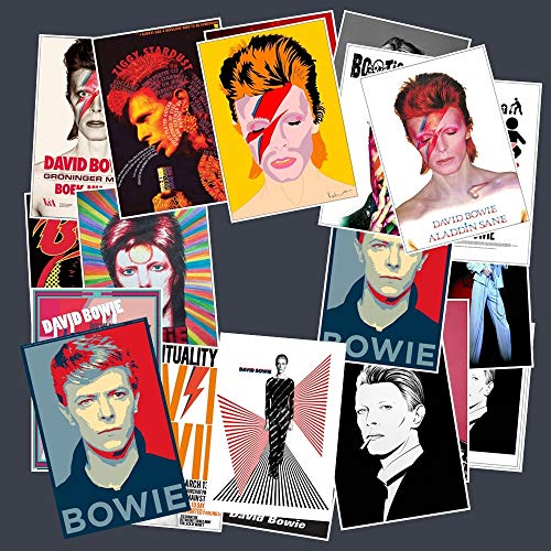 NOBRAND 20 Piezas David Bowie Rock Band Música Guitarra Pegatinas para Equipaje Laptop Art Painting DIY Poster Stickers Impermeable Skateboard Toy 7.5 * 5.5 cm