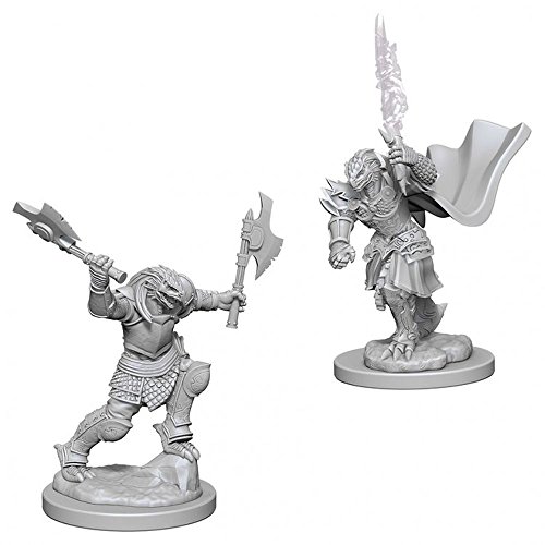 Nolzur's Marvelous Unpainted Minis: Dragonborn Female Fighter