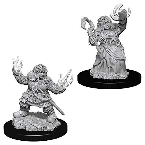 Pathfinder Battles Deep Cuts Miniatures Bundle: Mujer Enano Summoner W7 + Enano femenino bárbaro W8