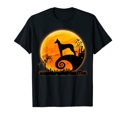 Perro sabueso ibicenco Scary And Moon Divertido disfraz de Camiseta