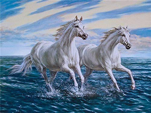 Pintura al óleo por números Animales Caballo Kits de imágenes sobre lienzo Pintura de dibujo de bricolaje por número Handmde Art Decoración de pared Regalo W1 60x75cm