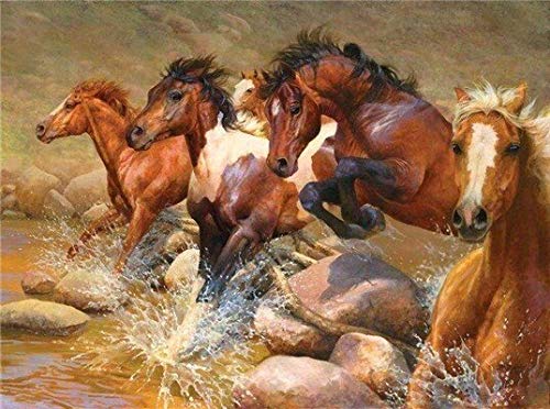 Pintura al óleo por números Animales Caballo Kits de imágenes sobre lienzo Pintura de dibujo de bricolaje por número Handmde Art Decoración de pared Regalo W1 60x75cm