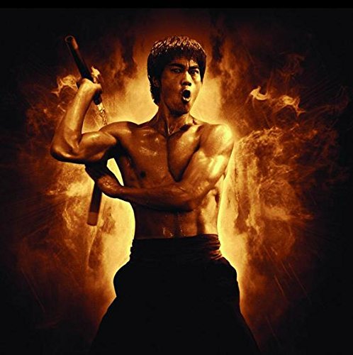 Pintura al óleo por números, novedades, DIY al óleo por números, kit de pintura por números, Kung Fu Star china, Bruce Lee Jun fan de Bruce Lee 16 x 20 pulgadas, pintura al óleo digital para pared,