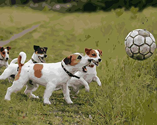 Pintura por números Animales Cachorros Jugar fútbol acrílico Cuadro Arte de la Pared Lienzo Pintura decoración del hogar