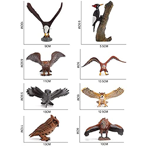 RAUKS 8pcs Juego de Juguetes de Aves realistas, Figuras de Animales de Aves realistas, PVC, Aves, búho, águila, Modelos de pájaros, Juguetes educativos para decoración de Escritorio