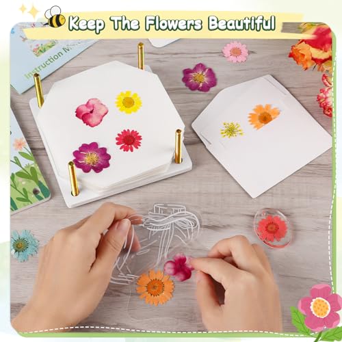 REFLYING Kit de Prensa de Flores, 6 capas prensadas flor hoja planta preservación espécimen, Kit de Manualidades Florales, para Niños Mayores de 6 Años