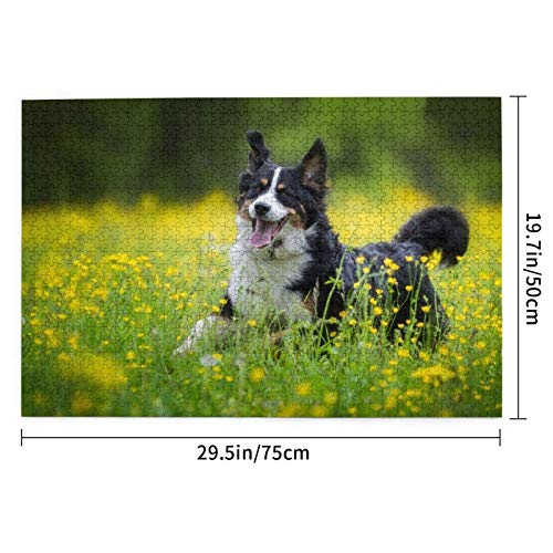 Rompecabezas de 1000 Piezas Sennenhund Running Dogs Lawn Berner Sennenhund Rompecabezas de Madera Juguete Juego Familiar Decoración de Pared para Adultos Adolescentes