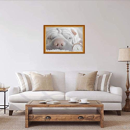 Rompecabezas de 1000 Piezas Shar Pei Pets Grey Shar Pei Puppy Dogs Shar Pei Rompecabezas de Madera de Juguete Juego Familiar decoración de Pared para Adultos Adolescentes