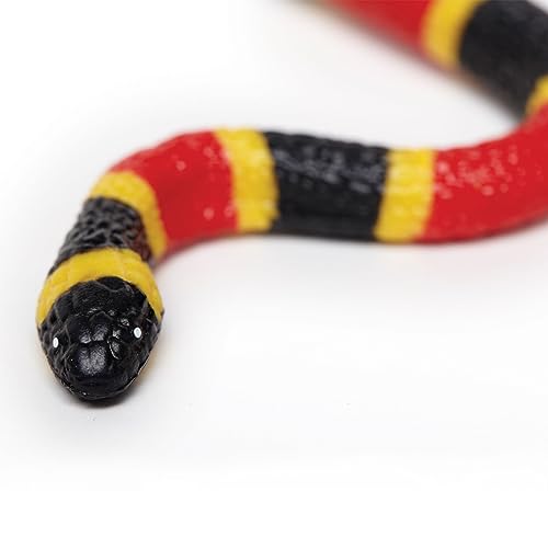 Safari- Coral Snake Baby Piccolo serpente Corallo ltd cod. 263329, Multicolor