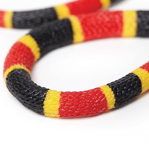 Safari- Coral Snake Baby Piccolo serpente Corallo ltd cod. 263329, Multicolor