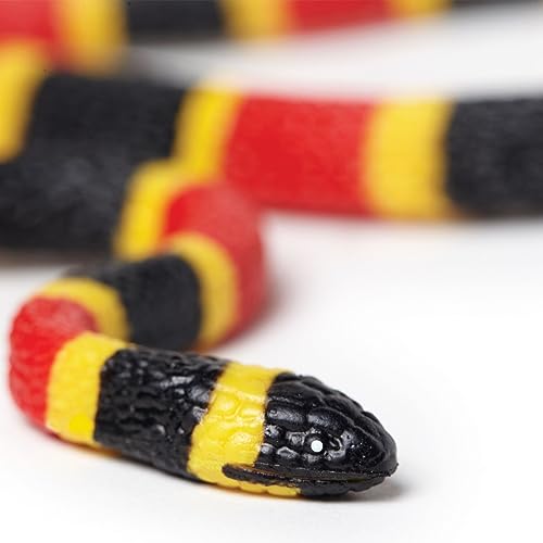 Safari- Coral Snake Baby Piccolo serpente Corallo ltd cod. 263329, Multicolor