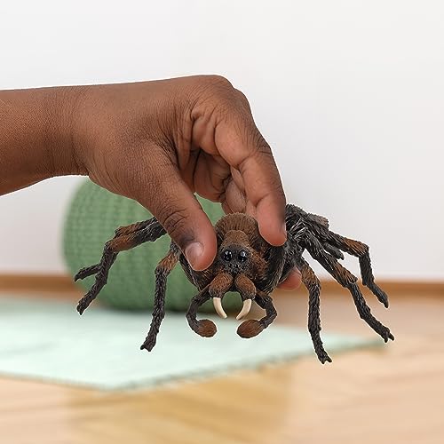 schleich 13987 Aragog, a partir de 6 años, WIZARDING WORLD - figura, 17 x 8 x 14 cm