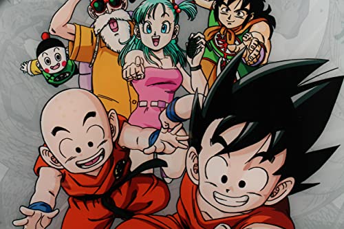 SD TOYS Dragon Ball Personajes Poster De Vidrio Dragon Ball 30 x 40 Cm