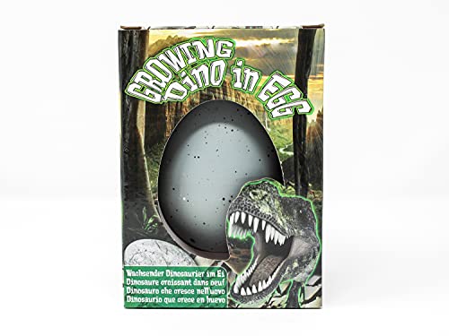 Selldorado® 1 huevo de dinosaurio en el huevo de dinosaurio de aprox. 8 cm – Huevo de dinosaurio con dinosaurio en el interior – Huevos de dinosaurio que eclosionan en el agua