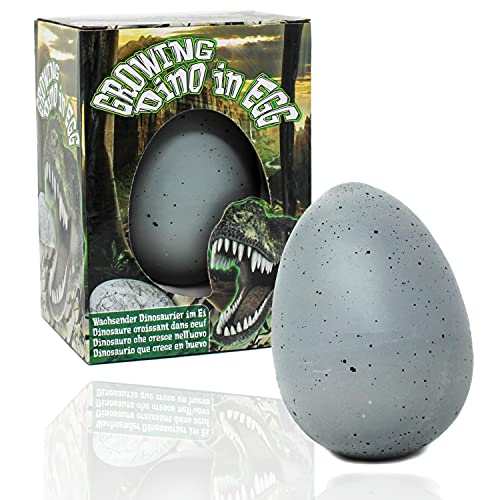 Selldorado® 1 huevo de dinosaurio en el huevo de dinosaurio de aprox. 8 cm – Huevo de dinosaurio con dinosaurio en el interior – Huevos de dinosaurio que eclosionan en el agua