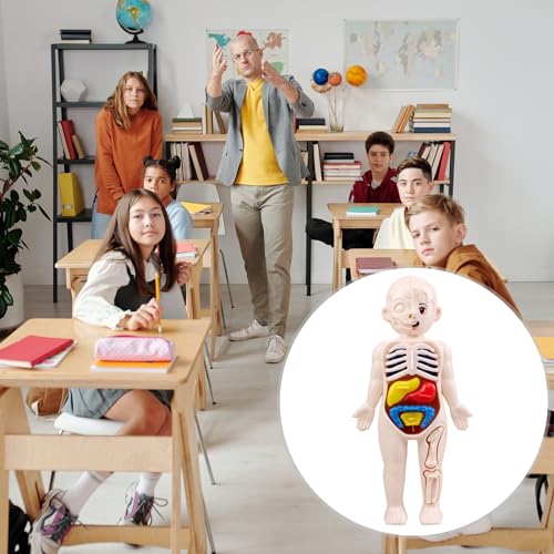 Shienfir Juguetes de anatomía para niños, modelo interactivo de cuerpo humano, 11 tarjetas de análisis, kits de ciencia de montaje de bricolaje, juguetes para niños y niñas de 3, 4, 5, 6, 7, 8 años,