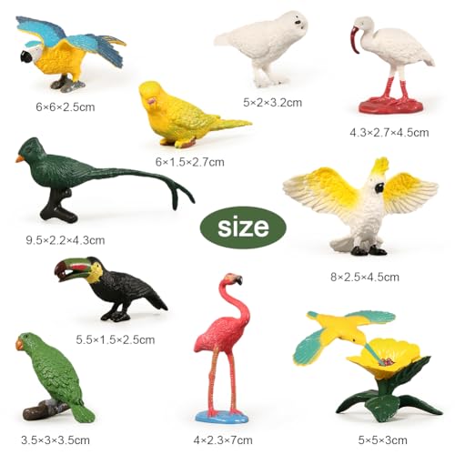 SoLLek Aves Figuras 10pcs Aves Mini Juego de Figuras Loro Decoración para Tarta Fiesta de Cumpleaños Decoración Flamencos Cake Topper Regalos de Cumpleaños para Niños