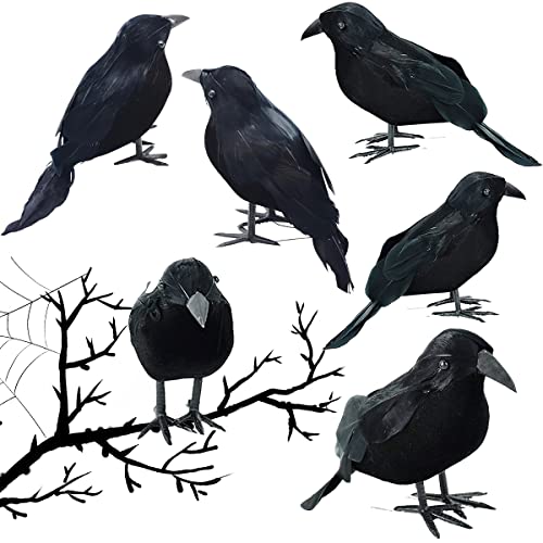 Taozoey 6 Piezas de Halloween Cuervo Prop, Cuervo Prop, Cuervo de Aspecto Realista, Cuervos de Plumas Negras, Cuervo Prop Negro Decoración para Fiesta Spooky Decoración para el Hogar