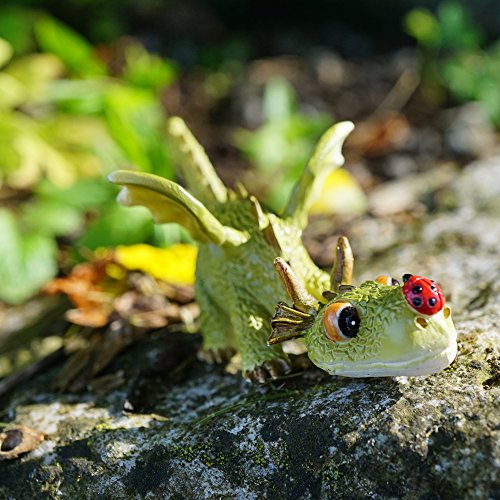 Top Collection 4414 miniatura jardín de hadas y terrario Mini dragón Estatua Jugando con diseño de mariquita, pequeño