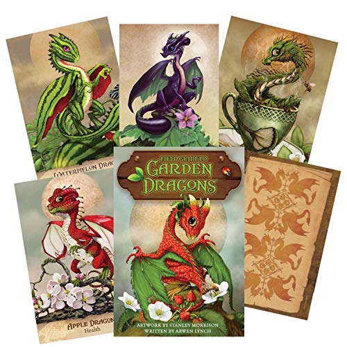 US Games Systems GUÍA DE CAMPO A TAROT DE GARDEN DRAGONS TAROT CON BOLSA DE TERCIOPELO