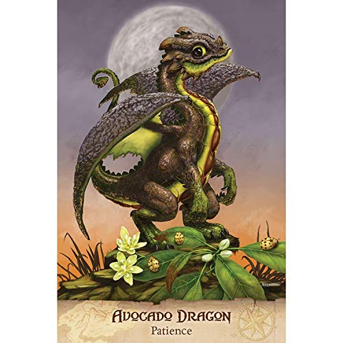 US Games Systems GUÍA DE CAMPO A TAROT DE GARDEN DRAGONS TAROT CON BOLSA DE TERCIOPELO