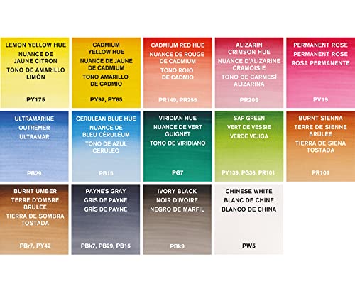 Winsor & Newton acuarela Cotman - Set de 14 medio godets de acuarela, colores surtidos