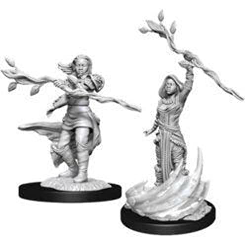 WizKids Human Male Druid: D&D Nolzur's Marvelous Unpainted Miniatures