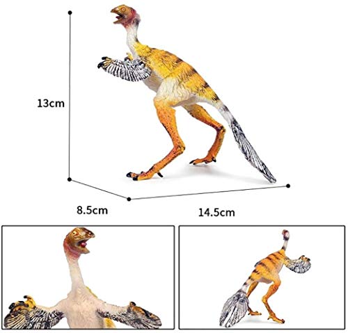 XMING Juguete del Dinosaurio prehistórico dragón Bird Modelo Hecho a Mano plástico sólido Modelo de Entretenimiento Modelo Animal Regalo de la educación Favoritos a Gran Escala Modelo de simulación